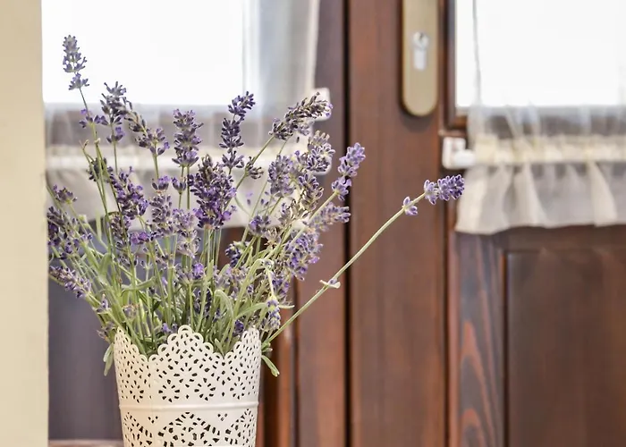 Appartement For Eger